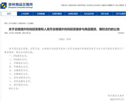 CIPS扩容启航，人民币结算新篇章：港股金融科技股的“华丽转身”预热！