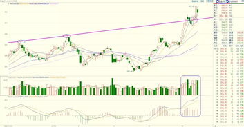 黄金期货直播室（期货交易直播间
