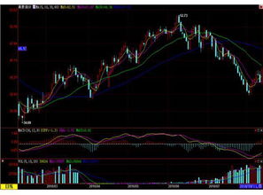 原油期货直播室（期货交易直播间）：WTI与布伦特原油价差套利，揭秘稳定的“搬砖”策略