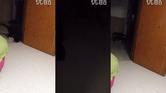 原油期货直播室（期货交易直播间）人工智能优化原油交易策略收益提升30%