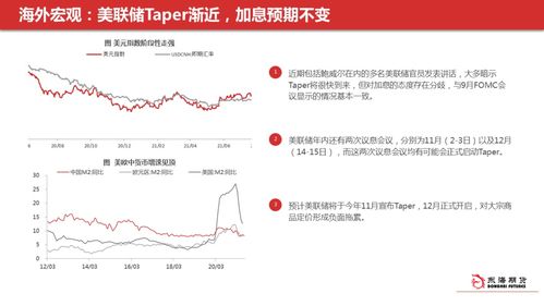期货交易直播间：揭秘大宗交易如何搅动市场风云，掌握价格脉搏！
