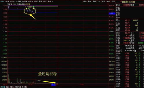 期货交易直播间：月末效应再现，如何把握调仓换股良机？