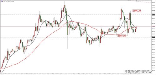 情绪风暴：纳指与白糖，谁主沉浮？