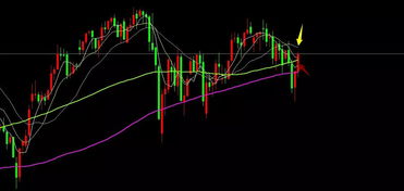 德指与黄金走势背离？市场情绪深度拆解，德指涨跌主要受什么影响