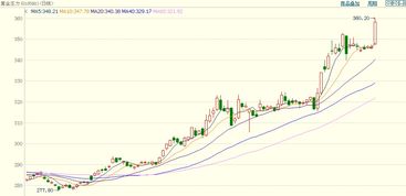 黄金期货央行购金（期货交易直播间）对A股黄金板块利好，黄金期货交易视频