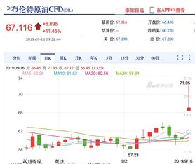黑天鹅事件应对手册（期货交易直播间）A股休市期市怎么办，期货黑天鹅是什么意思