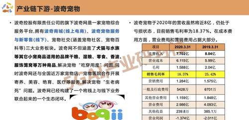 宠物经济快速增长（期货交易直播间）A股与