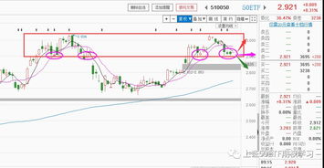 期权持仓量分析（期货交易直播间）揭示A股50ETF未来波动，期权持仓数据