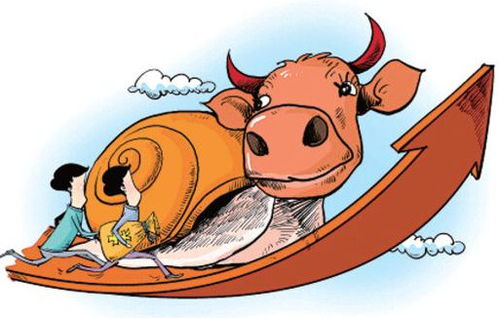 银发浪潮下的“慢牛”机遇：医药、养老与科技的融合新篇章