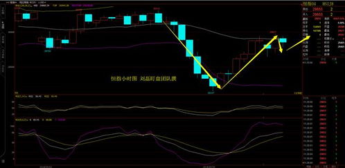 “道氏理论”现代应用：期货直播间里的恒指、A股、原油趋势实战指南