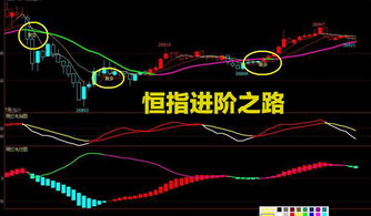 恒指日内波动捕捉：锁定“T+0”财富密码，直播间高手带你实盘飞跃！