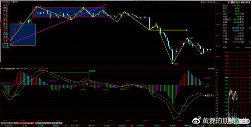 中国双十一购物节（期货交易直播间）相关商品期货机会，期货双十一行情
