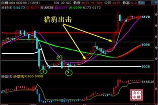 期货持仓量分析（期货交易直播间）揭秘主力资金意图，期货 持仓