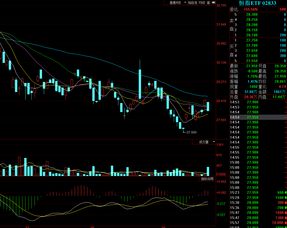 港股A股节假日休市（期货交易直播间）国际期货如何布局，港股期货交易时间