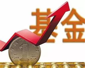 国际期货大全（期货交易直播间）基金期货投资直播室，国际期货在线直播