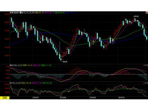 原油期货直播室·细胞治疗（期货交易直播间）国际，原油期货喊单直播行情实时