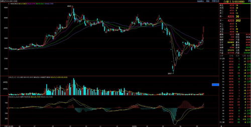 德指主力合约解析直播室，德指交易技巧