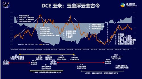 玉米主力合约直播室：农产品盘面逻辑复盘，玉米主力期货东方财富网