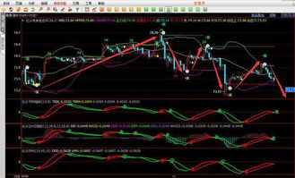 宏观对冲策略（期货交易直播间）恒指经济周期，宏观对冲私募