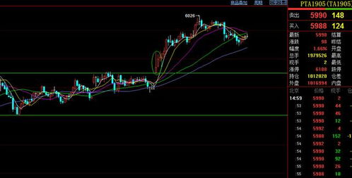 交易系统构建基础！解锁A股深证指数、恒指、黄金原油的盈利密码（期货交易直播间）