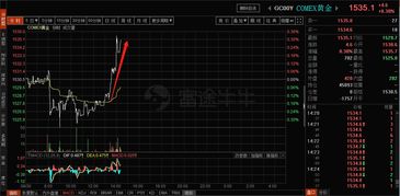 决胜千里之外：A股与恒指期货直播室，黄金期货实时洞悉