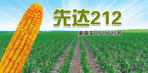 期货直播室农产品策略：全球粮食危机背景下的A股农业种植与种业股