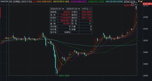 黄金期货直播室：洞悉全球金矿AISC成本曲线，揭秘A股黄金股盈利韧性