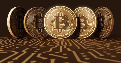 黄金期货直播室：比特币ETF抢滩A股？黄金ETF的替代与互补之道