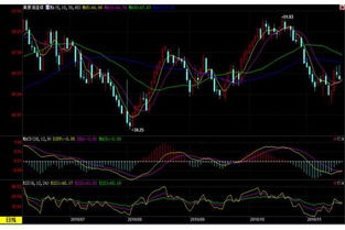 原油期货直播室：OPEC秘书长独家专访-
