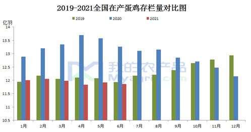 期货直播室农产品：解锁垂直农业新纪元，A股农业科技公司如何乘风破浪？