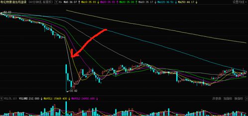 原油期货直播室：生物基塑料技术成熟度与A股化工新材料替代传统塑料