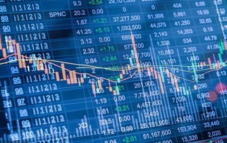 国际期货直播室：洞悉全球资产配置的风险平价模型再平衡策略与A股本土化破局之道