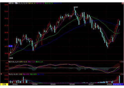 原油期货直播室：OPEC+会议声明的主题