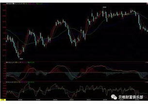 (期货直播室)WTI原油期货窄幅波动，市场静待晚间EIA官方库存数据指引。