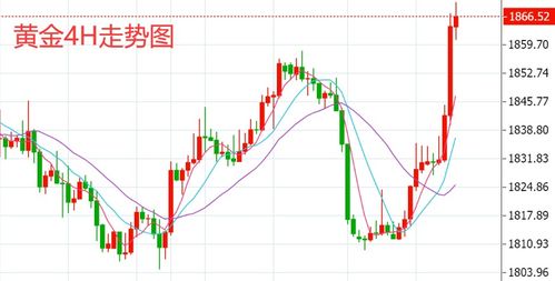 纳指直播间：明日美股开盘预测，A股基金、黄金、原油策略，美股纳指数行情