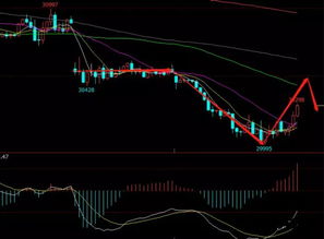 期货直播室：明日国际黄金、原油、恒指、纳指行情展望，明日现货
