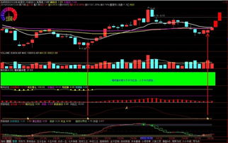 玉米反弹的持续性有待观察，玉米倒伏的原因