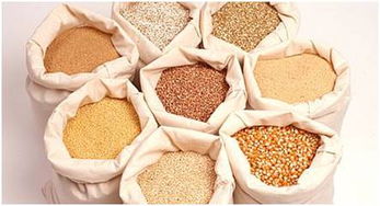 饲料原料类品种价格波动受到养殖端影响，饲料原材料价格历史波动情况