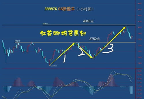 能化板块波动率有所上升，交易机会增多，什么是能化板块