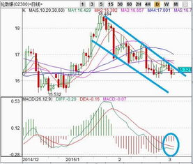 沪银日内空头情绪浓厚，价格承压下行，沪银主力agm金投网