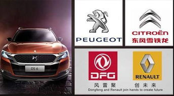 德指期货直播室：德国车企领跑，A股新能源车基金掘金新机遇