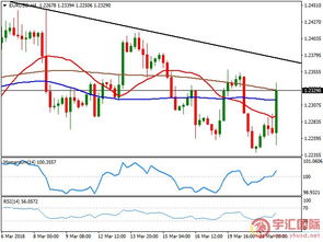 德指与欧元汇率联动：如何通过EUR/USD走势预判德指开盘方向？，德指和欧元的关系
