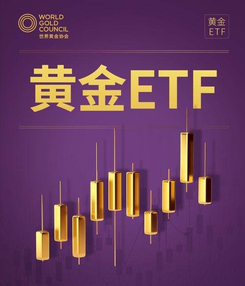 黄金期货直播室聚焦“伊斯兰金融”：黄金ETF与现货黄金的教法合规之路