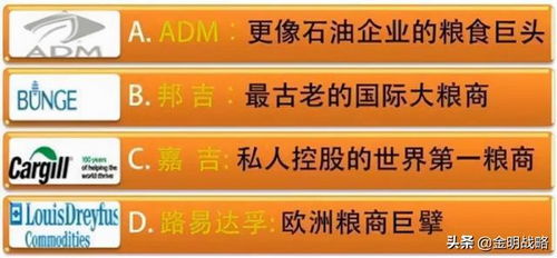 国际期货直播室｜“国际粮商”ABCD：嘉吉、ADM等巨头如何掌控全球粮食贸易