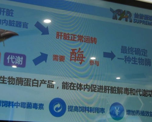 德指期货直播室“欧洲制药”新星：掘金中小型生物科技公司的并购潜力