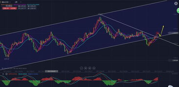 黄金遇到关键阻力位怎么办？，黄金的支撑位和压力位怎么看