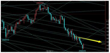 恒指企稳观察（期货交易直播间）今日策略+明日预测，恒指期货资讯