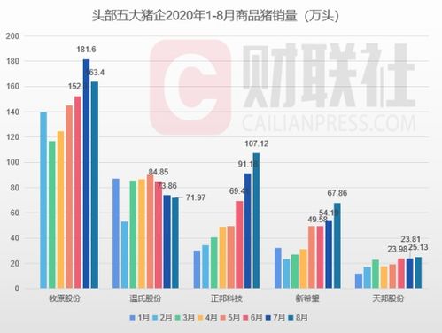 快讯：天然气市场供应充裕，价格短期承压，天然气供应形势