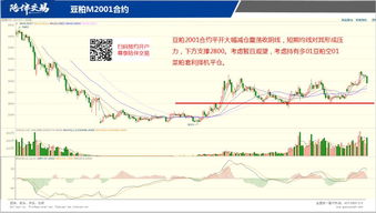 期货直播室全天候陪伴：从A股开盘到纳指收