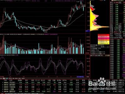 【量化交易入门】纳指期货直播室专题：个人投资者可用的量化工具与策略